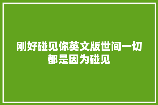 刚好碰见你英文版世间一切都是因为碰见