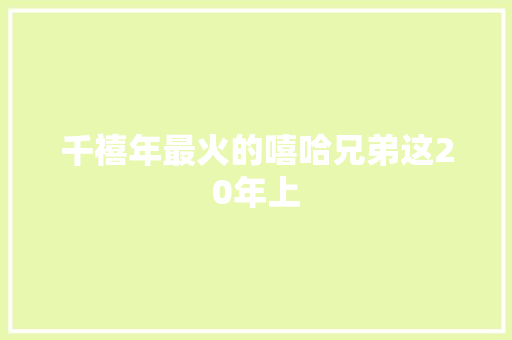 千禧年最火的嘻哈兄弟这20年上
