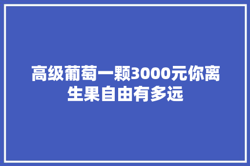 高级葡萄一颗3000元你离生果自由有多远