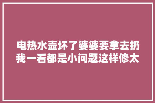 电热水壶坏了婆婆要拿去扔我一看都是小问题这样修太简单了
