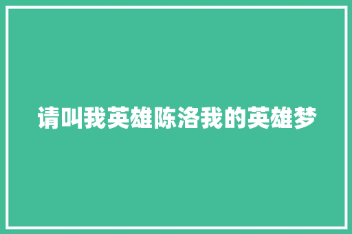 请叫我英雄陈洛我的英雄梦