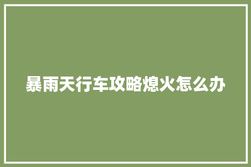 暴雨天行车攻略熄火怎么办