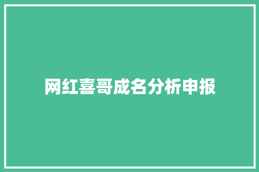 网红喜哥成名分析申报