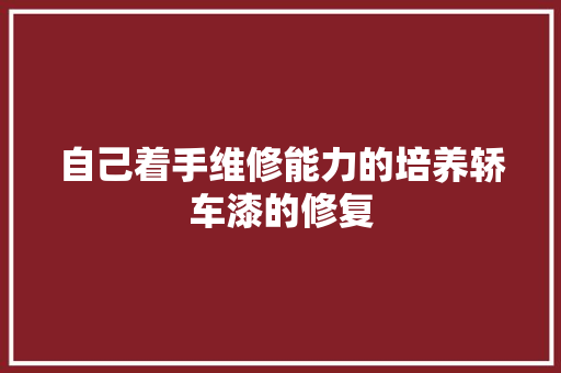 自己着手维修能力的培养轿车漆的修复