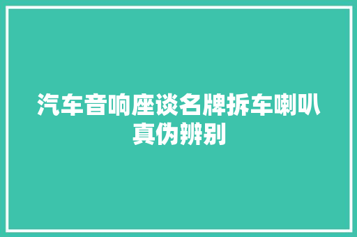 汽车音响座谈名牌拆车喇叭真伪辨别