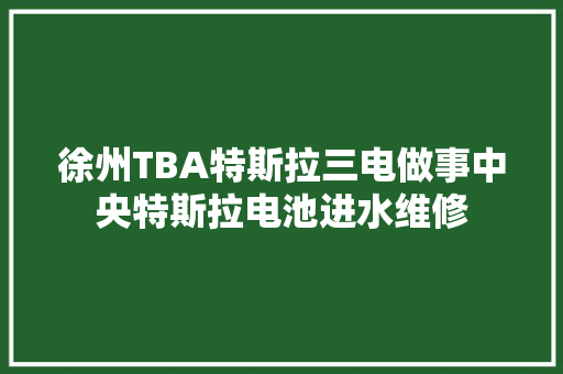 徐州TBA特斯拉三电做事中央特斯拉电池进水维修