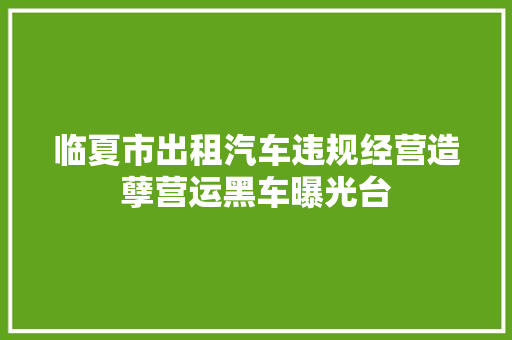 临夏市出租汽车违规经营造孽营运黑车曝光台