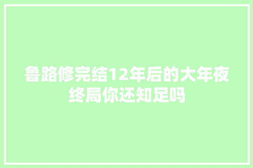 鲁路修完结12年后的大年夜终局你还知足吗
