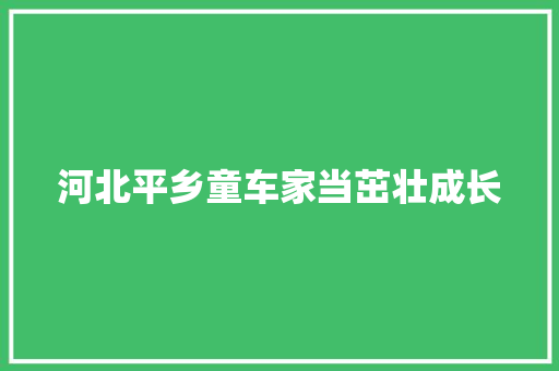 河北平乡童车家当茁壮成长