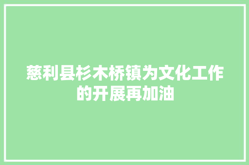 慈利县杉木桥镇为文化工作的开展再加油