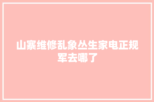 山寨维修乱象丛生家电正规军去哪了