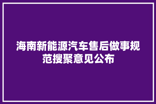 海南新能源汽车售后做事规范搜聚意见公布