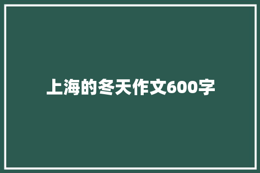 上海的冬天作文600字