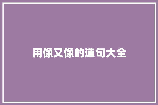 用像又像的造句大全