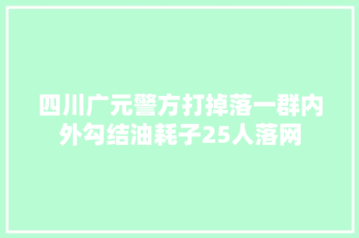 四川广元警方打掉落一群内外勾结油耗子25人落网