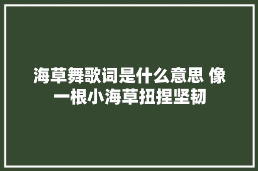 海草舞歌词是什么意思 像一根小海草扭捏坚韧