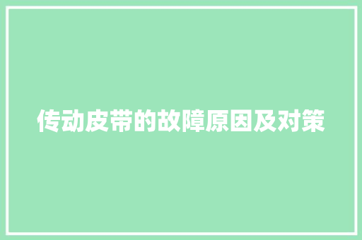 传动皮带的故障原因及对策