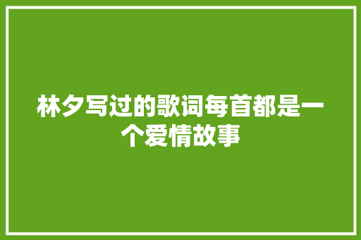 林夕写过的歌词每首都是一个爱情故事
