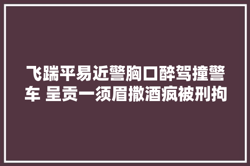 飞踹平易近警胸口醉驾撞警车 呈贡一须眉撒酒疯被刑拘