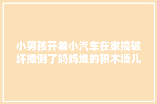小男孩开着小汽车在家搞破坏撞倒了妈妈堆的积木墙儿童动画