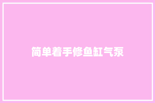 简单着手修鱼缸气泵