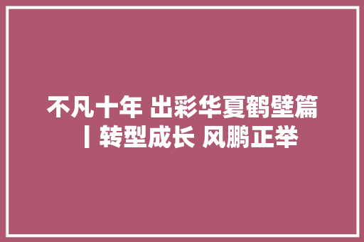 不凡十年 出彩华夏鹤壁篇丨转型成长 风鹏正举