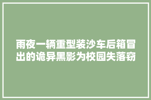 雨夜一辆重型装沙车后箱冒出的诡异黑影为校园失落窃案划上了句号