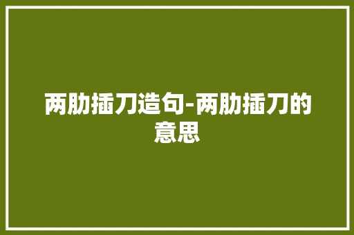 两肋插刀造句-两肋插刀的意思