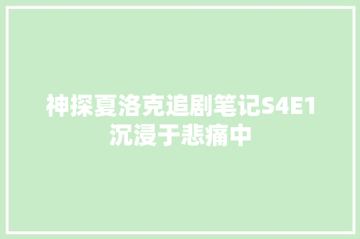 神探夏洛克追剧笔记S4E1沉浸于悲痛中