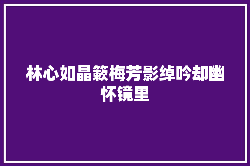 林心如晶簌梅芳影绰吟却幽怀镜里