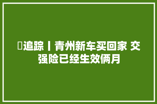 ​追踪丨青州新车买回家 交强险已经生效俩月