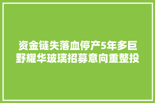 资金链失落血停产5年多巨野耀华玻璃招募意向重整投资人