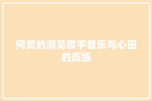 何炅的洞见歌手音乐与心田的历练