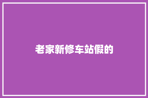 老家新修车站假的