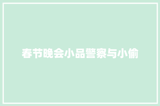 春节晚会小品警察与小偷