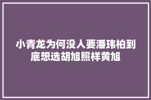 小青龙为何没人要潘玮柏到底想选胡旭照样黄旭