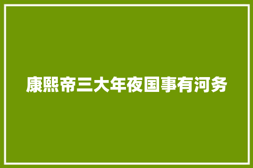 康熙帝三大年夜国事有河务