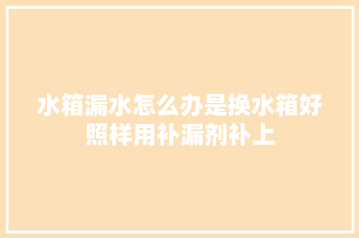 水箱漏水怎么办是换水箱好照样用补漏剂补上