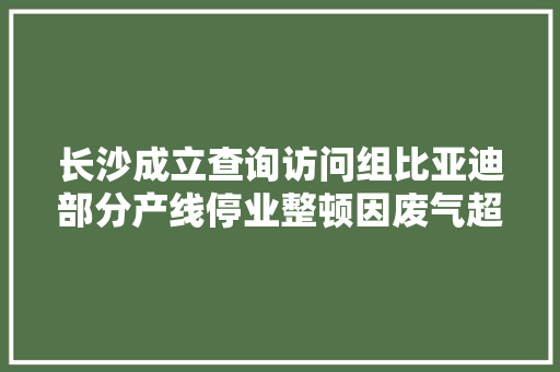 长沙成立查询访问组比亚迪部分产线停业整顿因废气超标流鼻血儿童已超800人