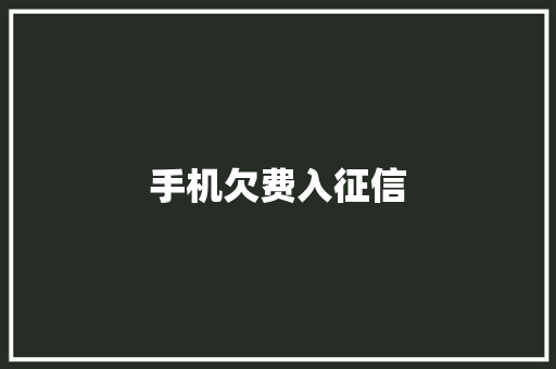 手机欠费入征信 汽车知识