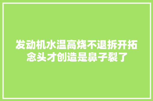 发动机水温高烧不退拆开拓念头才创造是鼻子裂了