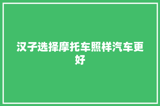 汉子选择摩托车照样汽车更好