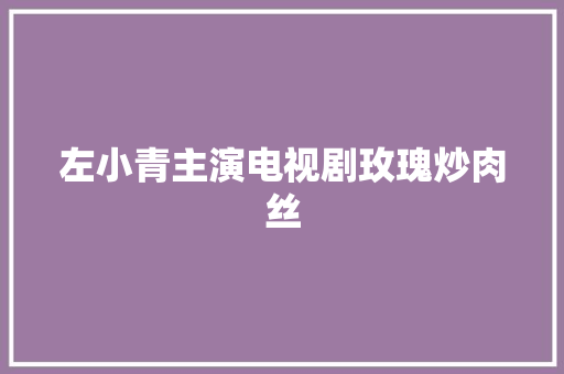 左小青主演电视剧玫瑰炒肉丝