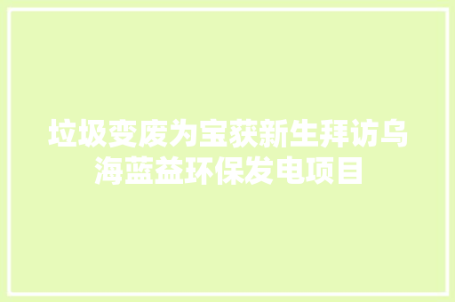 垃圾变废为宝获新生拜访乌海蓝益环保发电项目