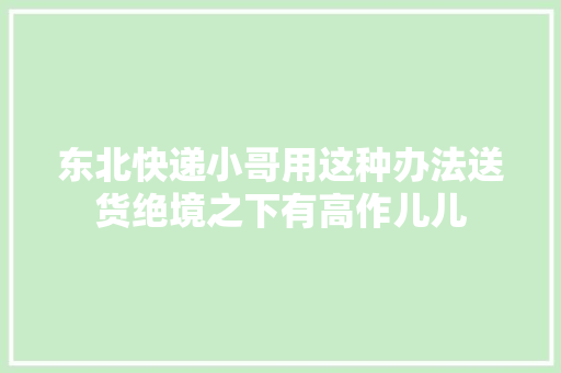 东北快递小哥用这种办法送货绝境之下有高作儿儿