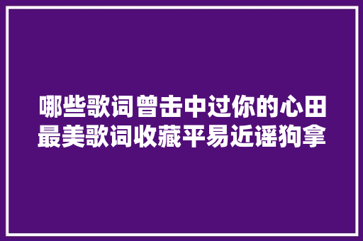 哪些歌词曾击中过你的心田最美歌词收藏平易近谣狗拿走不谢