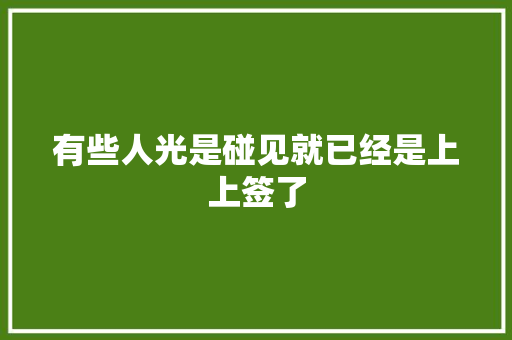 有些人光是碰见就已经是上上签了