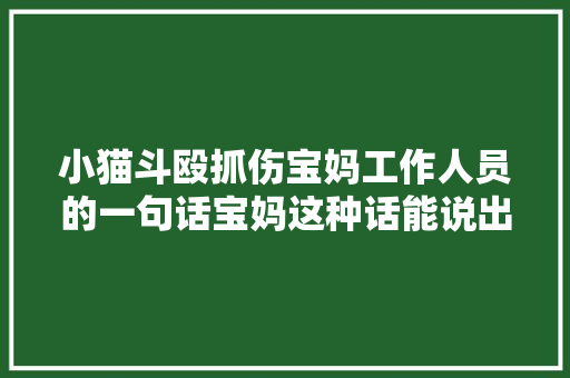 小猫斗殴抓伤宝妈工作人员的一句话宝妈这种话能说出口吗