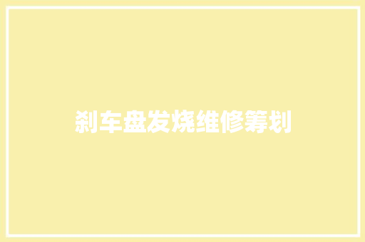 刹车盘发烧维修筹划