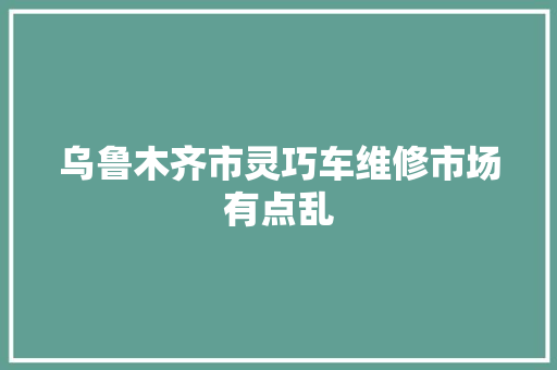 乌鲁木齐市灵巧车维修市场有点乱